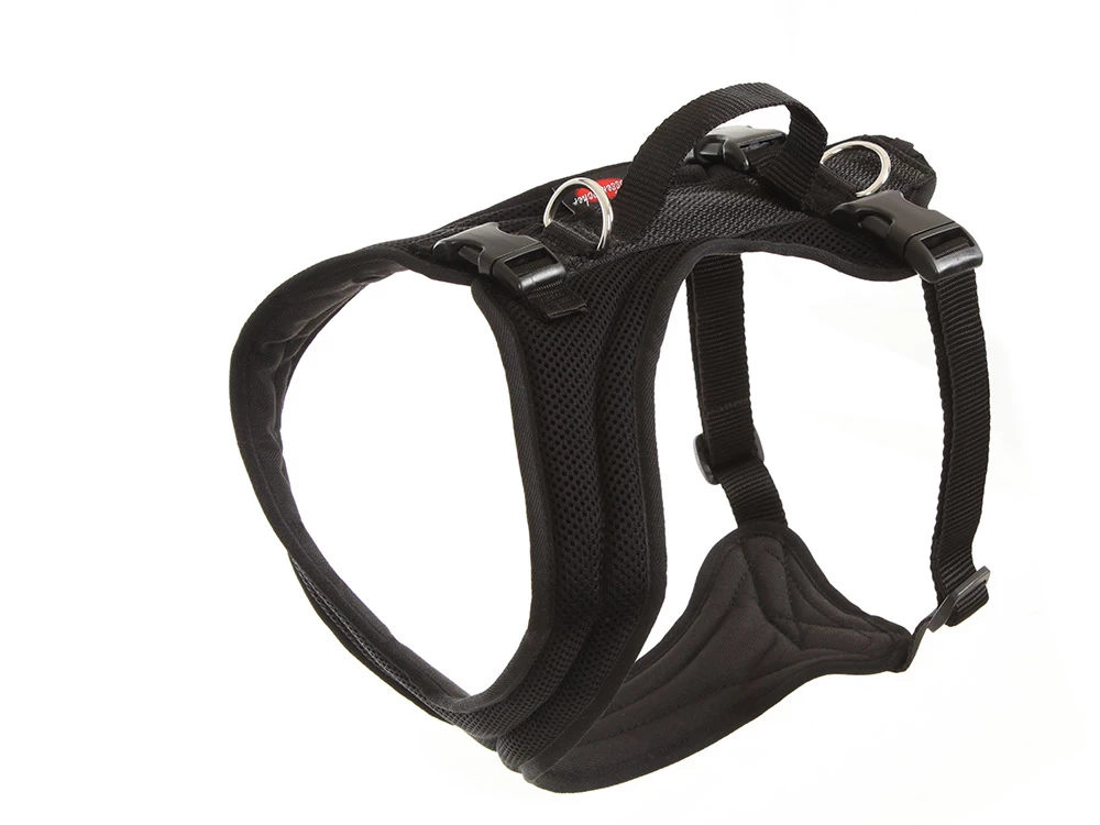 Grossenbacher Hundegeschirr FunRun Bulldogge Spezial 3 Grossenbacher Hundegeschirr FunRun Bulldogge Spezial