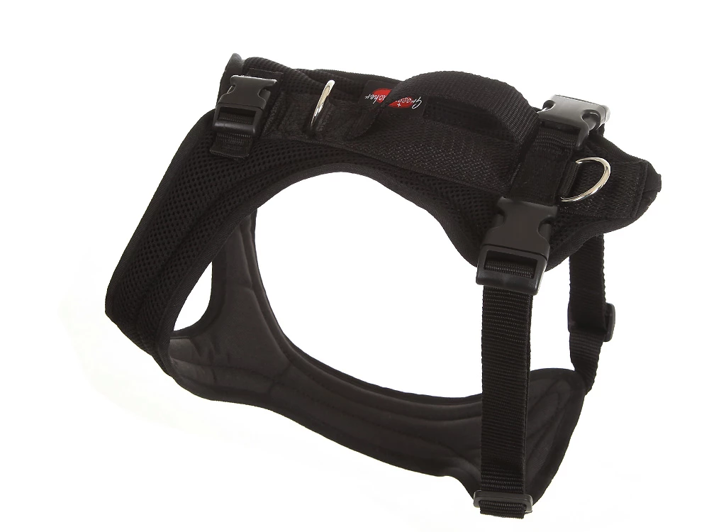 Grossenbacher Hundegeschirr FunRun Bulldogge Spezial 4 Grossenbacher Hundegeschirr FunRun Bulldogge Spezial – Bild 2