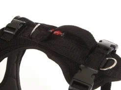 Grossenbacher Hundegeschirr FunRun Bulldogge Spezial 7 Grossenbacher Hundegeschirr FunRun Bulldogge Spezial -Günstiges Hundeshop Geschäft 502161 Product