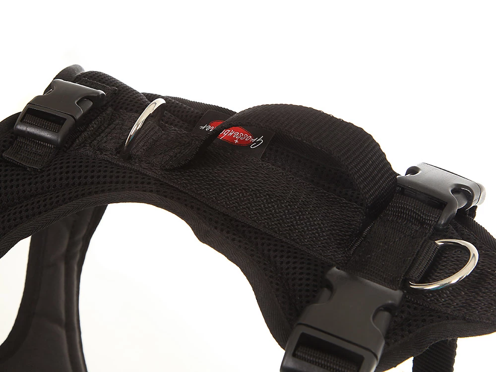 Grossenbacher Hundegeschirr FunRun Bulldogge Spezial 5 Grossenbacher Hundegeschirr FunRun Bulldogge Spezial – Bild 3