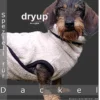 Dryup Cape Hundebademantel Dackel Spezial Sand 1 Dryup Cape Hundebademantel Dackel Spezial Sand -Günstiges Hundeshop Geschäft 502760 Product