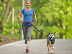 Kurgo Jogging Gurt Excursion 11 Kurgo Jogging Gurt Excursion -Günstiges Hundeshop Geschäft 503615 Product