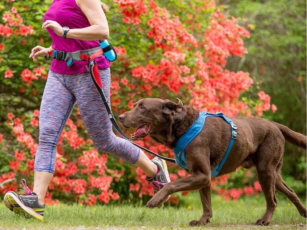 Kurgo Springback Lite Joggingleine 4 Kurgo Springback Lite Joggingleine – Bild 2