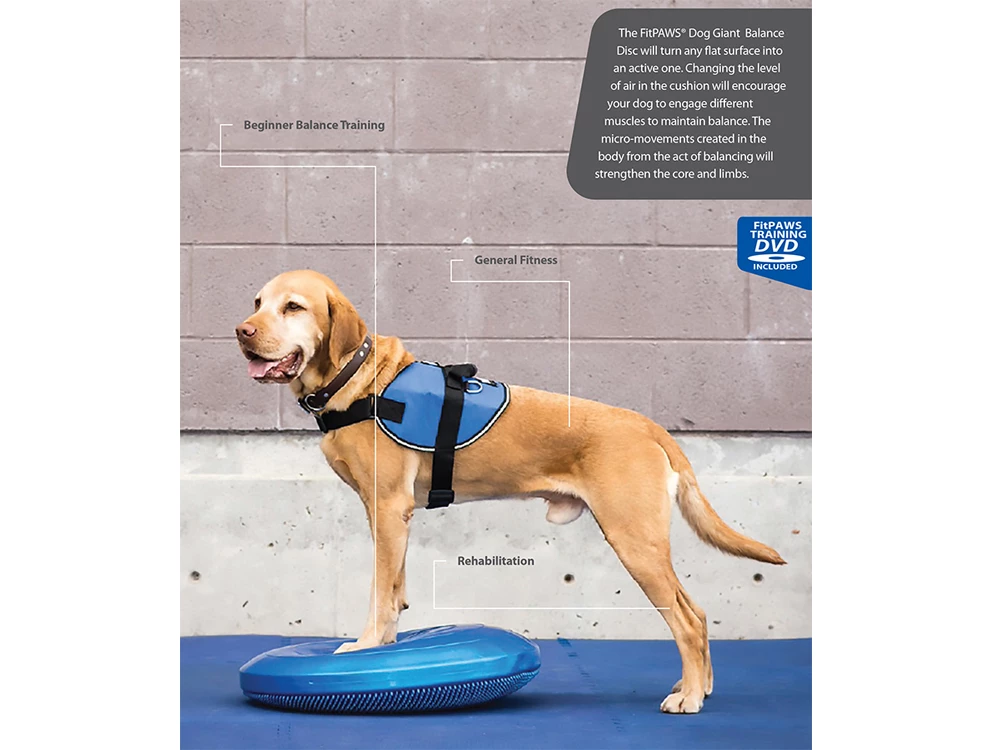 FitPAWS® Balance Disc Blau 6 FitPAWS® Balance Disc Blau – Bild 4