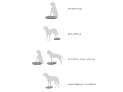 FitPAWS® Balance Disc Blau 11 FitPAWS® Balance Disc Blau -Günstiges Hundeshop Geschäft 505350 Product