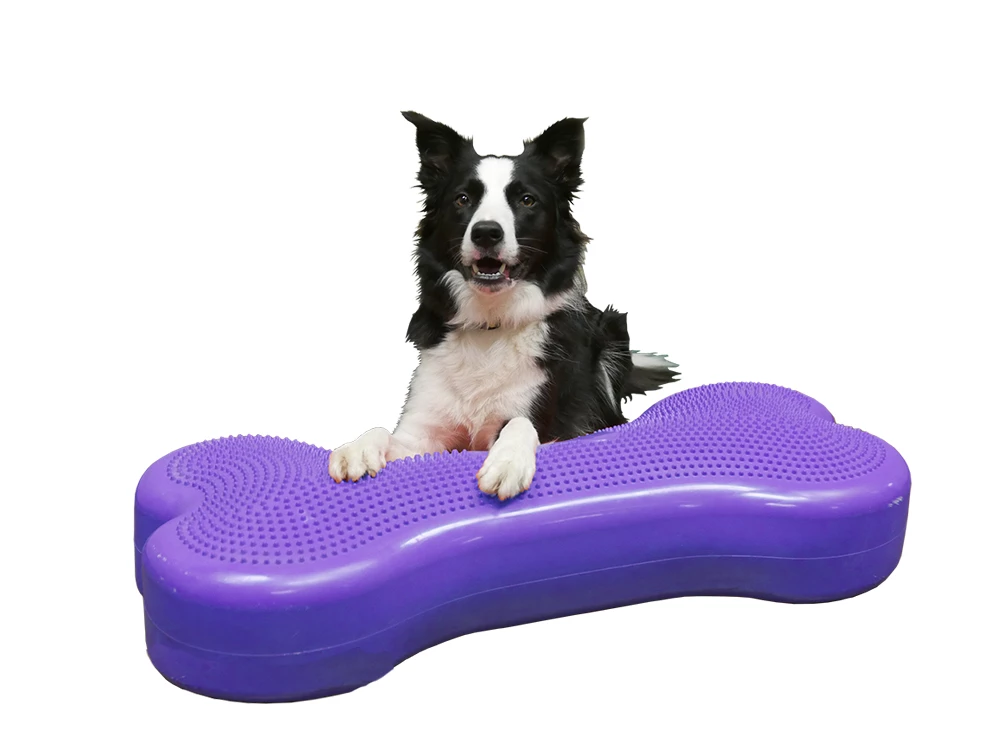 FitPAWS® Giant K9 FITbone™ 3 FitPAWS® Giant K9 FITbone™