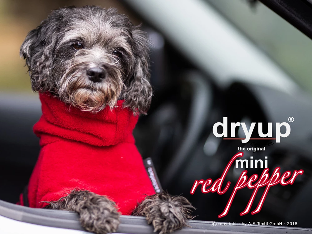 Dryup Cape Hundebademantel Mini Red Pepper 3 Dryup Cape Hundebademantel Mini Red Pepper
