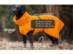 Dryup Cape Hundebademantel Bilberry 13 Dryup Cape Hundebademantel Bilberry -Günstiges Hundeshop Geschäft 513331 Product
