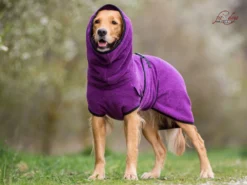 Dryup Cape Hundebademantel Bilberry