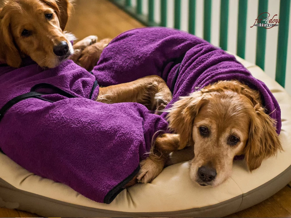 Dryup Cape Hundebademantel Bilberry 5 Dryup Cape Hundebademantel Bilberry – Bild 3