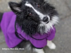 Dryup Cape Hundebademantel Mini Bilberry -Günstiges Hundeshop Geschäft 513680 Product