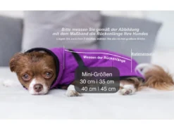 Dryup Cape Hundebademantel Mini Bilberry -Günstiges Hundeshop Geschäft 513684 Product