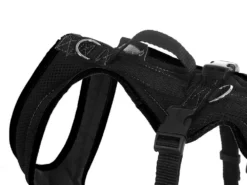 Grossenbacher Windhund Hundegeschirr FunRun Spezial Schwarz Gr. S -Günstiges Hundeshop Geschäft 515794 Product