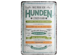 Pfotenschild Von Hunden Lernen 20x30 Cm