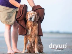 Dryup Towel Hundehandtuch Mit 360°Armschutz -Günstiges Hundeshop Geschäft 532077 Product
