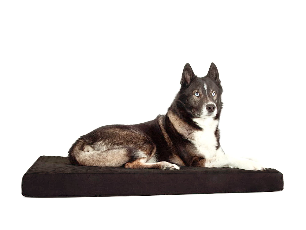 Back On Track Orthopädische Hundematratze 3 Back On Track Orthopädische Hundematratze