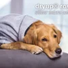 Dryup Cape Royal Hundebademantel Silver Micro Cotton 1 Dryup Cape Royal Hundebademantel Silver Micro Cotton -Günstiges Hundeshop Geschäft 532862 Product