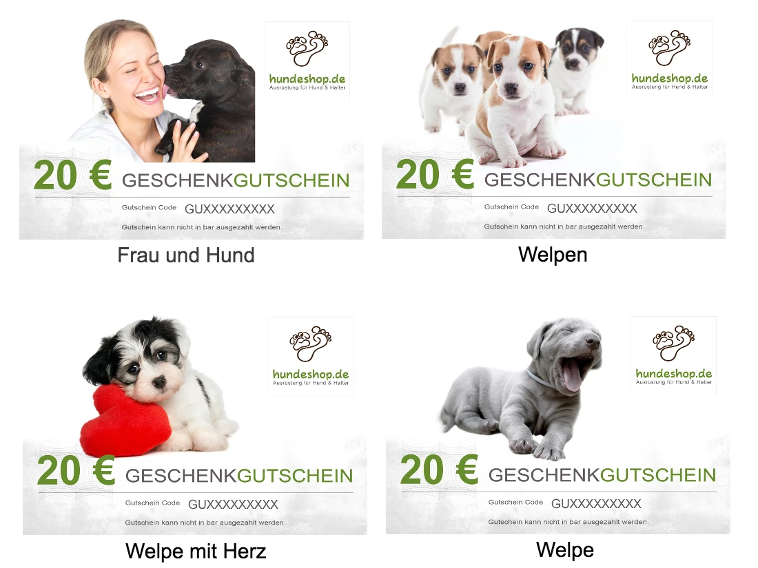 Hundeshop.de Geschenk Gutschein Per Post 4 Hundeshop.de Geschenk Gutschein Per Post – Bild 2