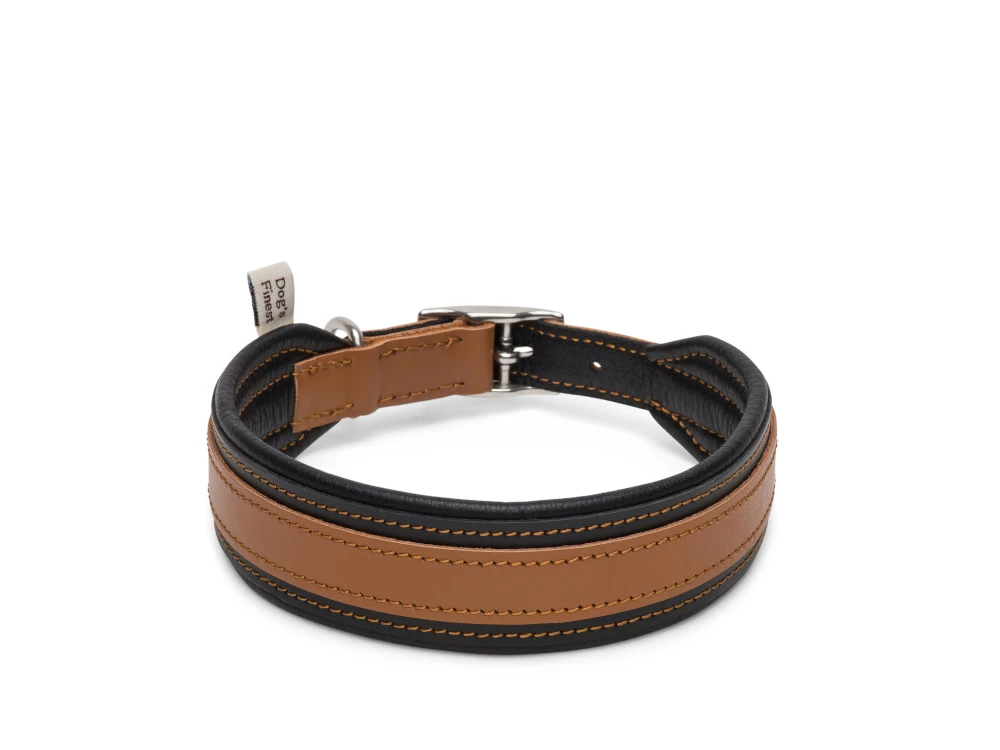 Hundehalsband Ridgeback Komfort Schwarz 3 Hundehalsband Ridgeback Komfort Schwarz