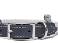 Hundehalsband Strandgut 7 Hundehalsband Strandgut -Günstiges Hundeshop Geschäft 541521 Product