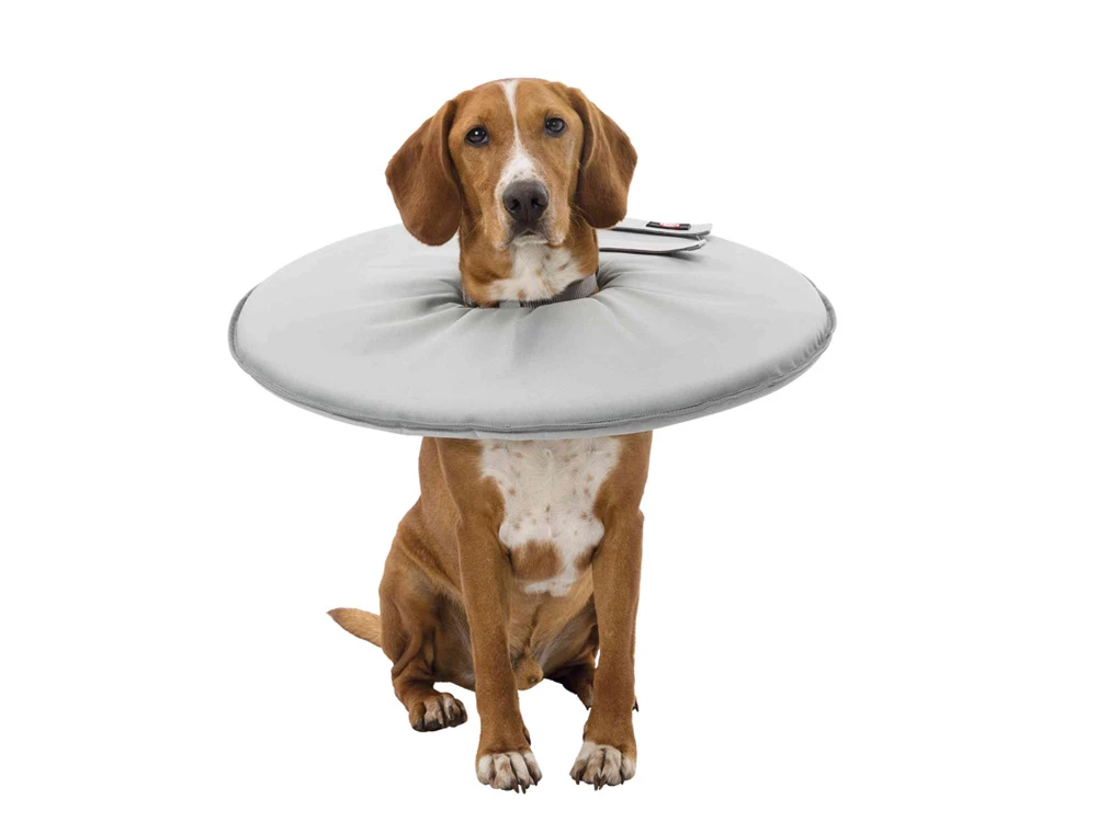 Trixie Schutzkragen Für Hunde 3 Trixie Schutzkragen Für Hunde