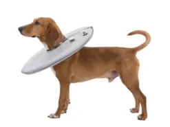 Trixie Schutzkragen Für Hunde 8 Trixie Schutzkragen Für Hunde -Günstiges Hundeshop Geschäft 544792 Product