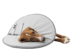 Trixie Schutzkragen Für Hunde 9 Trixie Schutzkragen Für Hunde -Günstiges Hundeshop Geschäft 544794 Product