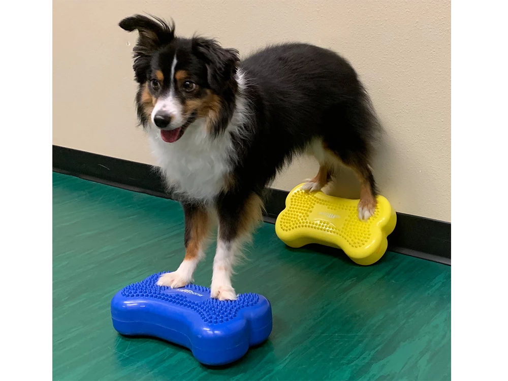 FitPAWS® K9 FITbone™ MINI 2-er Set 5 FitPAWS® K9 FITbone™ MINI 2-er Set – Bild 3