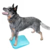 FitPAWS® Balance Ramp -Günstiges Hundeshop Geschäft 546841 Product