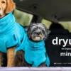 Dryup Cape Hundebademantel Mini Cyan 2 Dryup Cape Hundebademantel Mini Cyan -Günstiges Hundeshop Geschäft 555903 Product