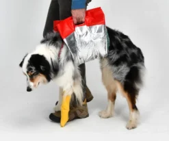 SOS Hunde-Rettungsdecke 11 SOS Hunde-Rettungsdecke -Günstiges Hundeshop Geschäft 557123 Product