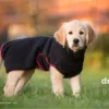 Dryup Cape Hundebademantel Mini Schwarz 1 Dryup Cape Hundebademantel Mini Schwarz -Günstiges Hundeshop Geschäft 557439 Product
