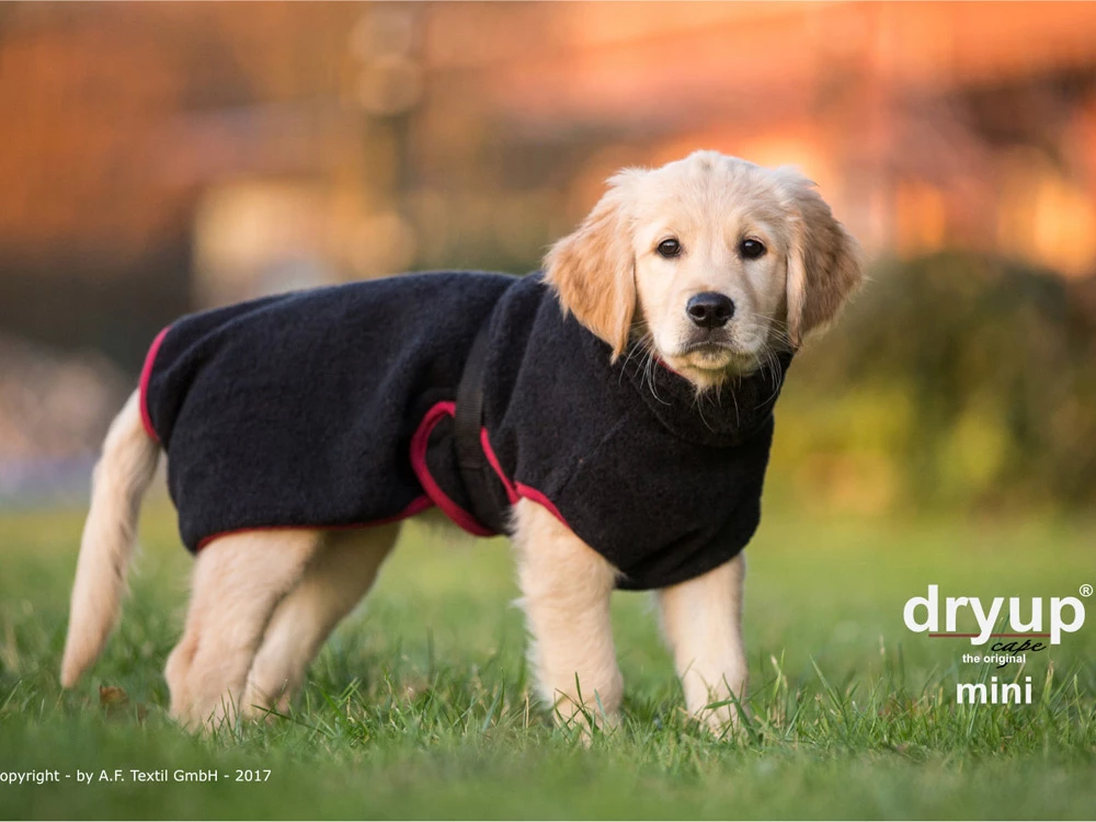 Dryup Cape Hundebademantel Mini Schwarz 3 Dryup Cape Hundebademantel Mini Schwarz