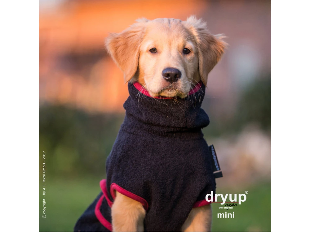 Dryup Cape Hundebademantel Mini Schwarz 4 Dryup Cape Hundebademantel Mini Schwarz – Bild 2