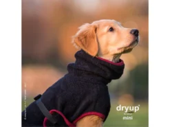 Dryup Cape Hundebademantel Mini Schwarz 7 Dryup Cape Hundebademantel Mini Schwarz -Günstiges Hundeshop Geschäft 557443 Product