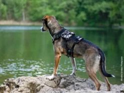 HundeNerd® V2 Hundegeschirr 13 HundeNerd® V2 Hundegeschirr -Günstiges Hundeshop Geschäft 597854 Product