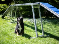Hunde Profi Agility ALU Laufsteg FCI Konform -Günstiges Hundeshop Geschäft 598269 Product