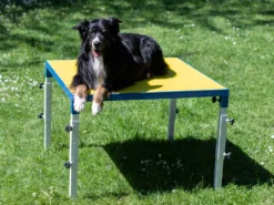 Hundesport Profi Verstellbarer Tisch 11 Hundesport Profi Verstellbarer Tisch -Günstiges Hundeshop Geschäft 598296 Product