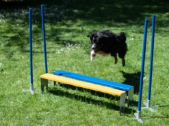 Hundesport Profi Agility Weitsprung-Hürde Mit Eckpfählen 6 Hundesport Profi Agility Weitsprung-Hürde Mit Eckpfählen -Günstiges Hundeshop Geschäft 598847 Product