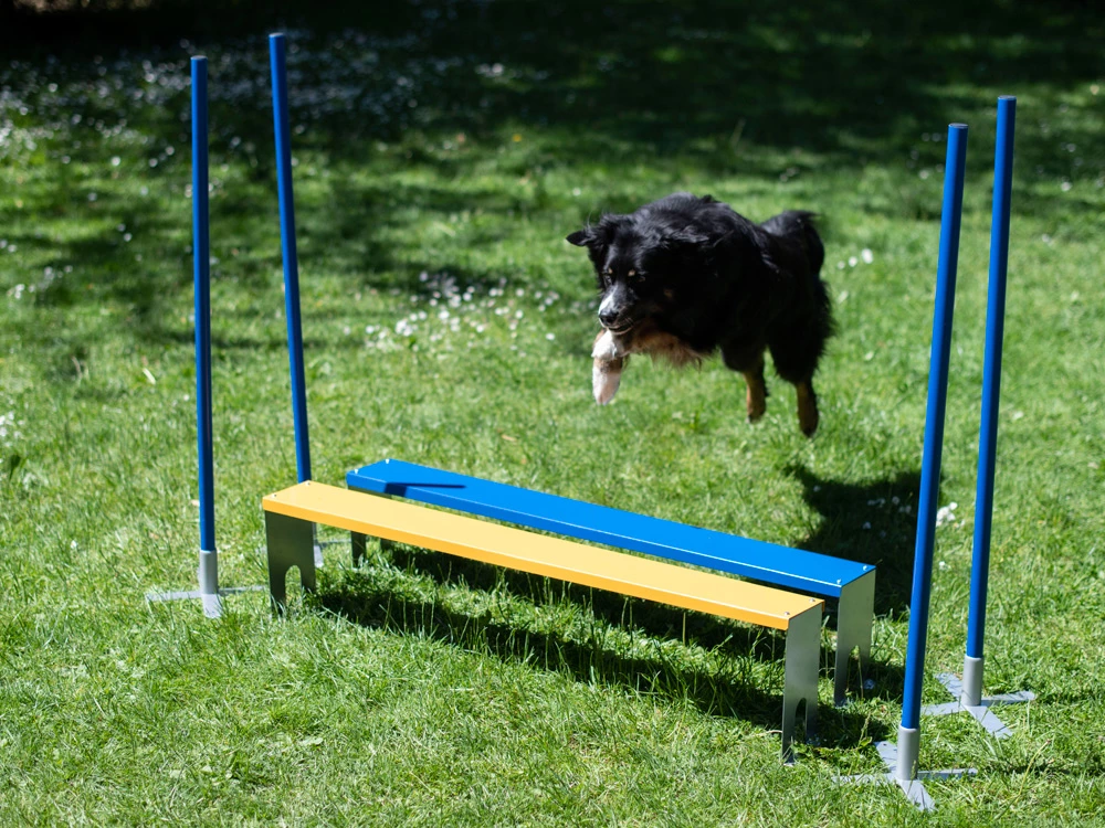 Hundesport Profi Agility Weitsprung-Hürde Mit Eckpfählen 4 Hundesport Profi Agility Weitsprung-Hürde Mit Eckpfählen – Bild 2