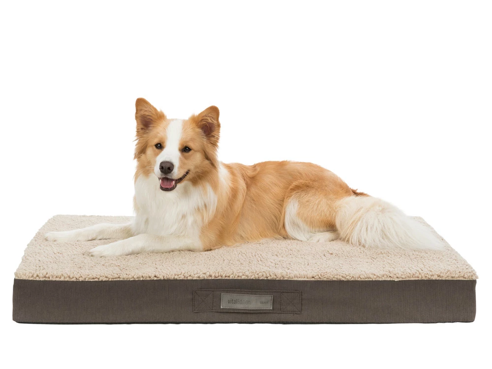 Trixie Vital Hundekissen Bendson 3 Trixie Vital Hundekissen Bendson