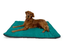 Ruffwear Hundedecke Mt. Bachelor Pad™ Tumalo Teal 9 Ruffwear Hundedecke Mt. Bachelor Pad™ Tumalo Teal -Günstiges Hundeshop Geschäft 599585 Product