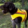Reflektorweste Für Hunde 2 Reflektorweste Für Hunde -Günstiges Hundeshop Geschäft 602295 Product