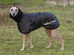 Back On Track Windhundmantel 8 Back On Track Windhundmantel -Günstiges Hundeshop Geschäft 610006 Product