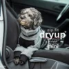 Dryup Body Zip.fit Mini Hundebademantel Anthrazit 1 Dryup Body Zip.fit Mini Hundebademantel Anthrazit -Günstiges Hundeshop Geschäft 615569 Product