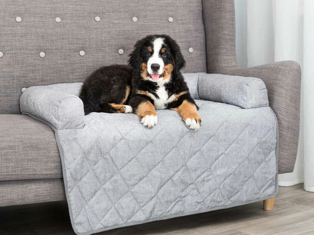 Trixie Nero Sofakissen Polster Schondecke 4 Trixie Nero Sofakissen Polster Schondecke – Bild 2