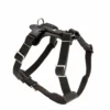 Hunter Hundegeschirr Aalborg Rindleder Schwarz 2 Hunter Hundegeschirr Aalborg Rindleder Schwarz -Günstiges Hundeshop Geschäft 619178 Product