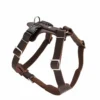 Hunter Hundegeschirr Aalborg Rindleder Dunkelbraun 2 Hunter Hundegeschirr Aalborg Rindleder Dunkelbraun -Günstiges Hundeshop Geschäft 619226 Product