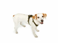 Hunter Hundegeschirr Aalborg Rindleder Cognac 15 Hunter Hundegeschirr Aalborg Rindleder Cognac -Günstiges Hundeshop Geschäft 619281 Product