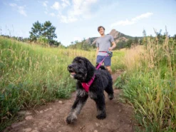 Ruffwear Front Range™ 2.0 Hundegeschirr Hibiscus Pink 12 Ruffwear Front Range™ 2.0 Hundegeschirr Hibiscus Pink -Günstiges Hundeshop Geschäft 621161 Product